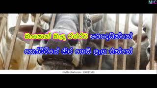 Banen Banda Rajarata Pedesinne karaoke without voice බානෙන් බැඳ රජරට පෙදෙසින්නේ [upl. by Nitsrek]