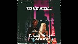 Skeng x Stalk Ashley  Taliban Remix Fig Leaf Riddim [upl. by Gabriela968]