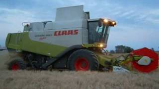 Moisson des blés avec Lexion 560 Montana [upl. by Einahets]