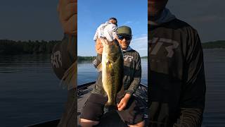 Twitching a Minnow for Big Maine Largemouth bassfishing largemouthbass maine [upl. by Ennaj]