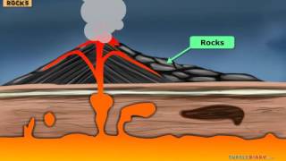 Igneous vs Metamorphic Rocks Whats the Difference [upl. by Eniamrahc509]