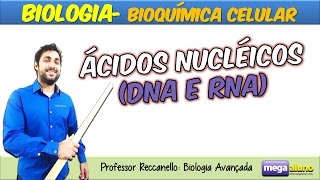 Ácidos Nucléicos DNA e RNA com dicas de memorização Material na descrição [upl. by Aicelef]