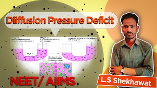 DIFFUSION PRESSURE DEFICIT DPD  HOW DO CALCULATE DIFFUSION PRESSURE [upl. by Amrac661]