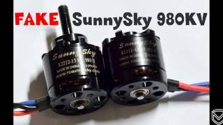 SunnySky Motor Fake 980KV X221213 [upl. by Amabel815]