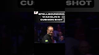 spellbinding Wakelin 5cushion shot 😱🎱🏆viralshortvideos 2024 [upl. by Eloken]