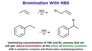 AllylicBenzylic Bromination With NBromo Succinimide NBS [upl. by Esilahs]