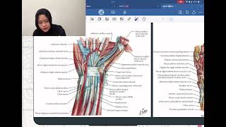 Anatomi Regio Antebrachii dan Regio Manus  Anatomi Blok 12 [upl. by Wiburg]