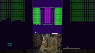 Purrfectly Smashing Chipi Plays Brick 😎 chipichipi brickbreaker brainrot [upl. by Timus900]