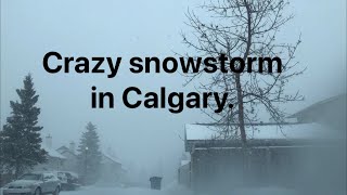 Crazy Snowstorm in Calgary Alberta Canada CalgarySnowstorm CanadaStorm AlbertaSnowstorm [upl. by Eniar384]