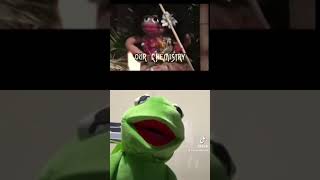 kokomo muppets sing along themuppets tiktok kokomo muppetsclips [upl. by Abagail]