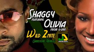 Shaggy feat Olivia  Wild 2nite Jamstone Remix [upl. by An]