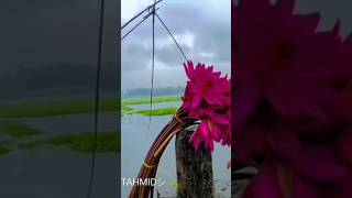 সাবস্ক্রাইব করে সবাই পাশে থাকবেন❤️ rafsantahmid new viralvideo 2024 RAFSAN TAHMID NEW VIDEO [upl. by Eimile]