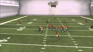 Madden 25 How to Rocket catch Goaline Fades [upl. by Angelo]