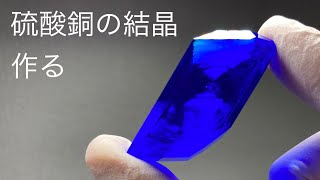 硫酸銅の結晶を作る！！ [upl. by Salsbury143]