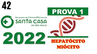 FMSCSP 2022 Um hepatócito tem a função de realizar funções como reservar o glicogênio [upl. by Dhruv]