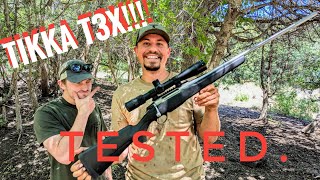 A Guides Perspective Tikka T3X Review [upl. by Ynaffet]