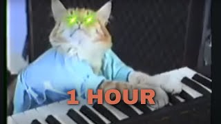 Keyboard Cat 1 HOUR [upl. by Haig]