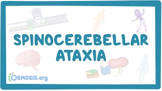 Spinocerebellar ataxia  causes symptoms diagnosis treatment pathology [upl. by Dnallor158]