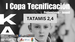 I Copa tecnificación PrebenjaminJuvenil CLM Tatamis 24 [upl. by Oilla]