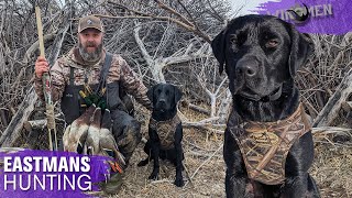 Hondos First Hunt Duck Hunting SouthernOakKennels [upl. by Gardiner]