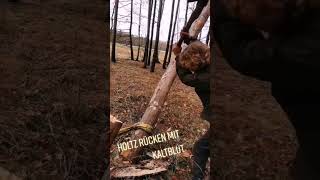 holzrücken mit kaltblut winter schnee polen masuren zary grünekutsche horse pferdemädchen [upl. by Aufmann394]