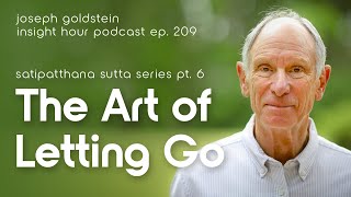 Joseph Goldsteins Satipatthana Sutta Series Pt 6 The Art of Letting Go– Insight Hour Ep 209 [upl. by Eciram]