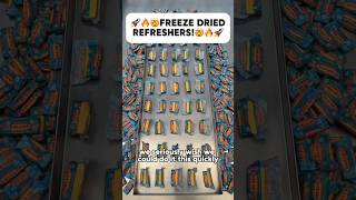 🔥🚀🤯Let’s make our Freeze Dried Refreshers🤯🚀🔥 shorts [upl. by Rooney221]