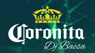 Lépegetős Coronita Mix 2024 Április  Dj Bacsa [upl. by Fortune586]