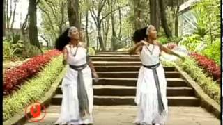 Halloo Daawwee Obboleeysi Oromo Music [upl. by Oech]