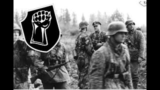 17 SSPanzergrenadierDivision Götz von Berlichingen  episode 17 all waffenSS divisions [upl. by Ytsirhk]