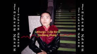 Jincheng Zhang  Linger I Like Birds Official Audio [upl. by Morrell787]