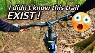 Not many riders knew this MTB trail [upl. by Virgil]