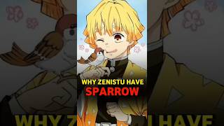 Why does ZENITSU have SPARROW 🤔  shorts [upl. by Gilba]