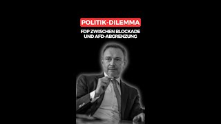 POLITIK DILEMMA FDP ZWISCHEN BLOCKADE UND AFDABGRENZUNG  POLITIKUPDATES [upl. by Salome]