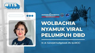 quotWolbachiaquot Nyamuk Viral Pelumpuh DBD [upl. by Eiramanad]