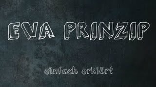 EVA Prinzip einfach erklärt [upl. by Thomasin]