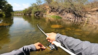 Pescando y Explorando Río lleno de Peces Exóticos Cíclidos [upl. by Rehtaef]