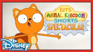 Kiffs Animal Kingdom Shorts Spectacular  Full Special  💥 NEW KIFF CHIBI SHORT  disneychannel [upl. by Natsuj]