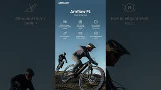 Amflow PL [upl. by Nivar]