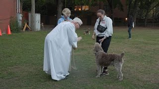 Parishes Throughout the Archdiocese Host Pet Blessings [upl. by Wera448]