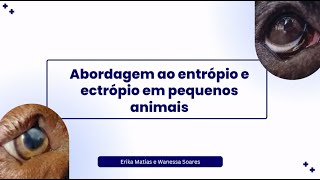 Abordagem ao Entropio e Ectropio em pequenos animais [upl. by Ennair947]