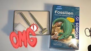 Wir suchen Fossilien 🦖 CATAZEMBER 3 [upl. by Steinway]