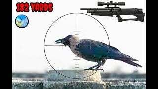 LONG RANGE DEAD SHOT HUBEN K1 LOVERS FALCON SLUGS [upl. by Novoj538]