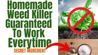 Natural Weed Killer That Works Better Than Round Up  DIY That Saves Money And Works In 24 Hours [upl. by Nayek]