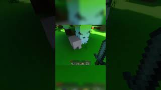 Are You Okay shorts Minecraft [upl. by Godden423]