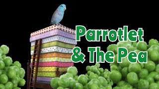 Parrotlets First Encounter With Peas [upl. by Ladnar]