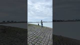 Schalde river estuary at Terneuzen NL [upl. by Papotto266]