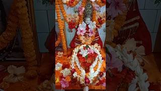 subscribemychannel indianfestival छठपूजागीत2023 trending song ytshortsindia ytshorts [upl. by Helen]