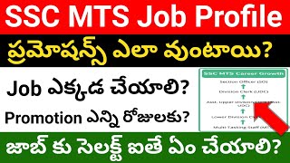 SSC MTS Job Profile  SSC Multi Tasking Staff Job profile in telugu  Job profile of MTS Job [upl. by Fineman920]