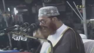 Bangla Tafseer Mahfil  Delwar Hossain Sayeedi at Chittagong 2004 Day 2 Full [upl. by Emelun]